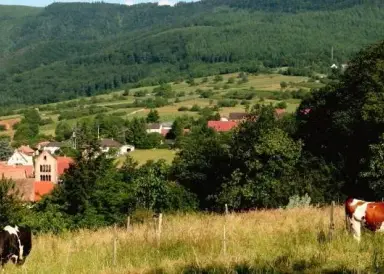Le sentier des sols, Osenbach, Haut-Rhin - Lokaly
