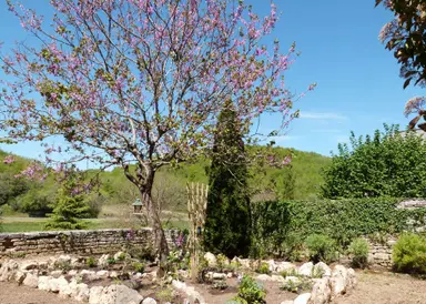 Boucle sur le Causse de Coly n°32 / Coly, Coly-Saint-Amand, Dordogne ...