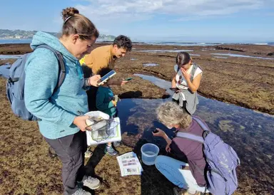 Observateurs du Littoral : découvrez la richesse de la biodiversité de ...