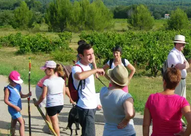 Le sentier des Vignerons de Rognes, Rognes, Bouches-du-Rhône - Lokaly