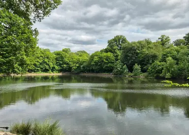 SECRETS D’EAU EN FORET : LE PARCOURS HYDRAULIQUE DE MEUDON